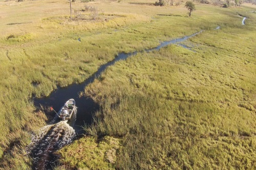 Moremi Crossing omgeving 2